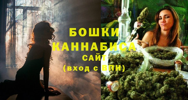 сатива Сосновоборск