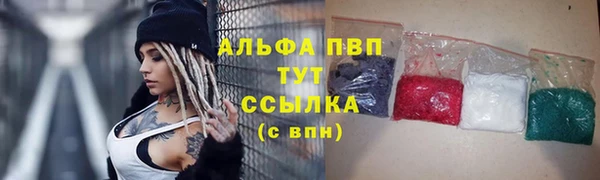 молекула духа Сосновый Бор