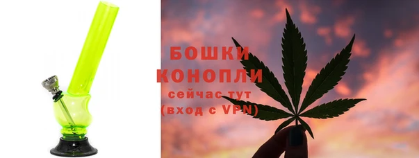 сатива Сосновоборск