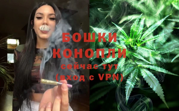сатива Сосновоборск