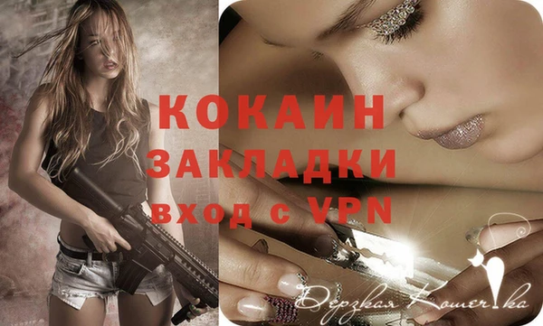 сатива Сосновоборск