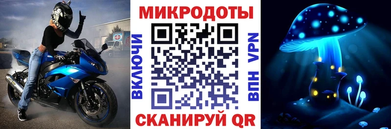 Купить закладки  Советск  Галлюциногенные грибы GOLDEN TEACHER 